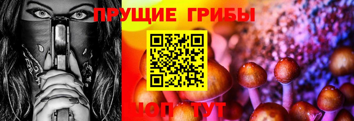 как найти   Псилоцибиновые грибы GOLDEN TEACHER  Вход с VPN  Сергиев Посад 